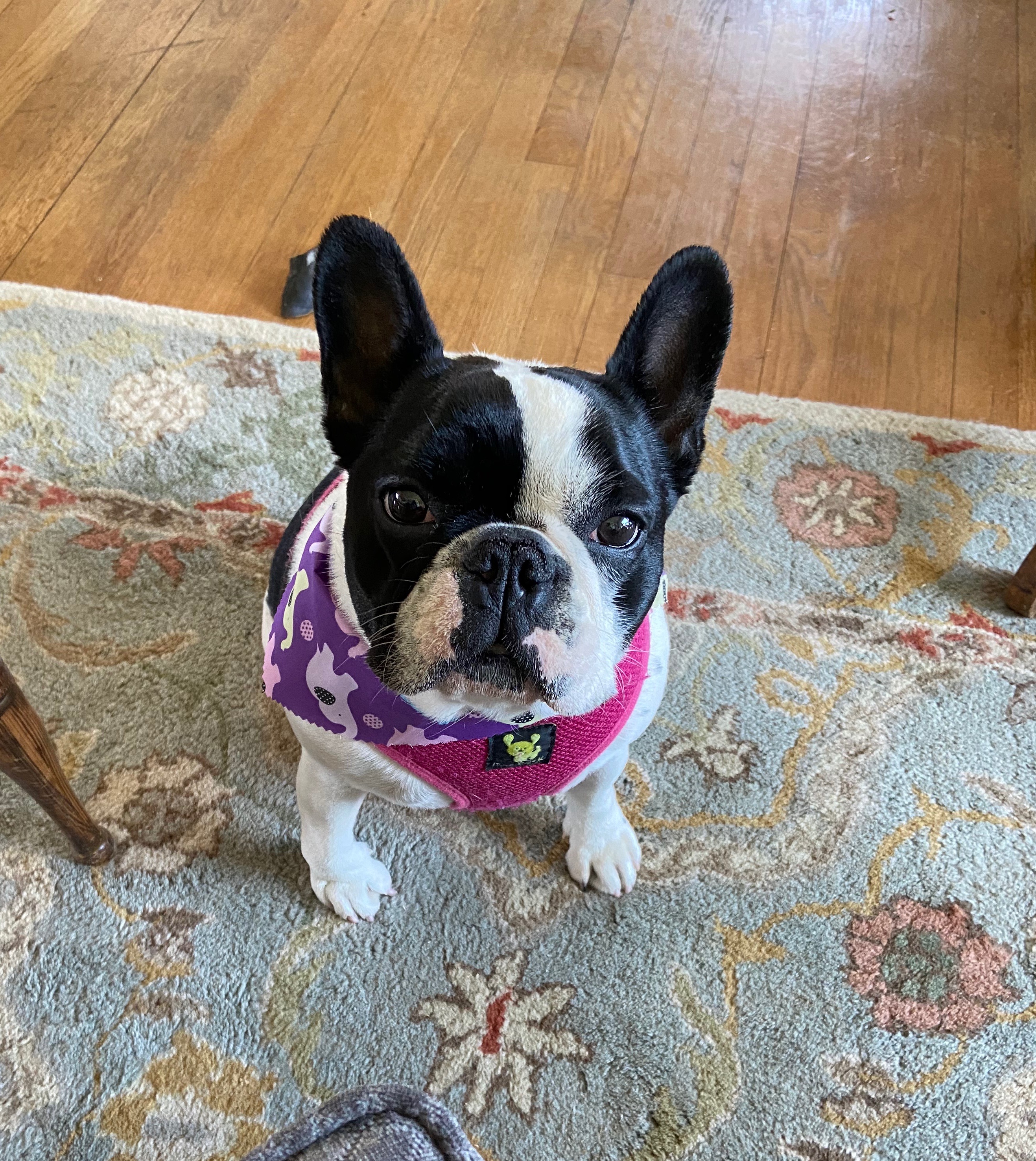 A Little About Me A Little About Me